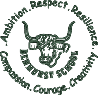 Benhurst Primary School