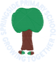 Springside Primary School