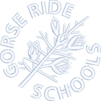 Gorse Ride Schools (PE Kit)