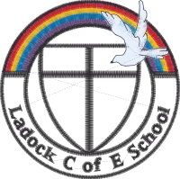 Ladock CofE School (School Uniform)