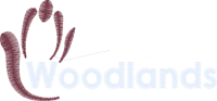 Woodlands School (Nursery)