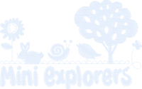 Mini Explorers