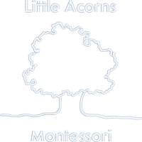 Little Acorns Montessori Ltd