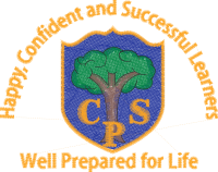 The Coppice Primary School