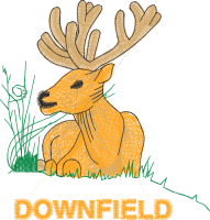 Downfield Primary School (Staff Uniform)