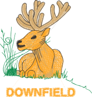 Downfield Primary School (School Uniform)