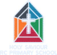 Holy Saviour Roman Catholic Primary School, Nelson