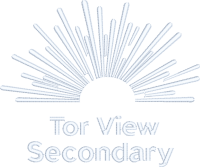 Tor View School (Secondary Jumpers)