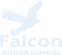 Falcon Junior School