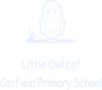 Little Owls Pre-School