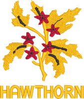 Hawthorn Community Primary School