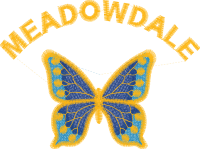 Meadowdale Primary School