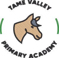 Tame Valley Academy