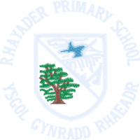 Rhayader C.I.W. School