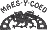 Maes-Y-Coed Primary School