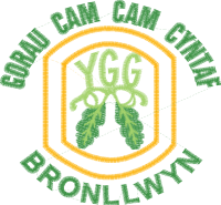 Ysgol Gynradd Gymraeg Bronllwyn