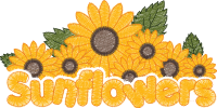 Sunflowers Pre-School