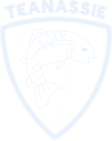 Teanassie Primary School