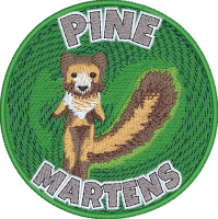 Craigievar School (Pine Martens)
