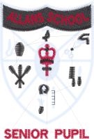 Allan's Primary School (Senior Pupil)