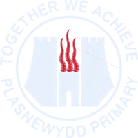 Plasnewydd Primary School