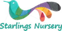 Starlings Nursery (Staff)