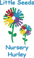 Little Seeds  Nursery (Little Seeds Nursery)