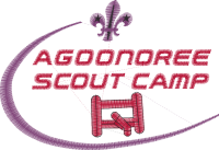 Agoonoree Scout Camp, Special Needs Groups of Greater London