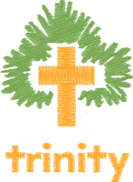 Trinity CEVAP School