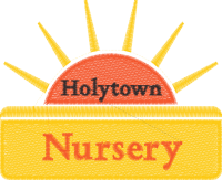 Holytown Nursery Class