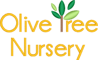 Olive Tree Nursery