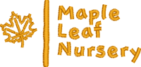 Maple Leaf Nursery