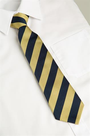Close-up of a Clent Parochial Primary School Clip-on Tie, featuring a neatly tied knot on a dress shirt collar.