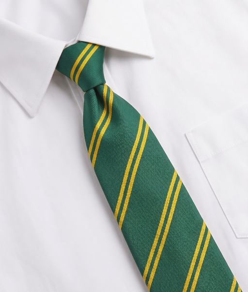 Dunton Green Primary School Tie