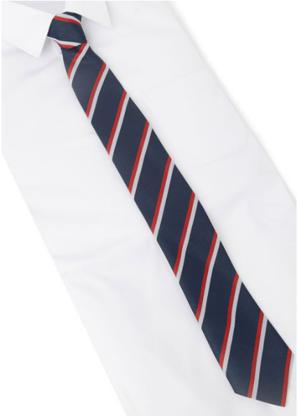 Elgin Academy Standard Tie featuring a classic striped design, suitable for school uniforms. Made from durable polyester, ideal for daily wear.