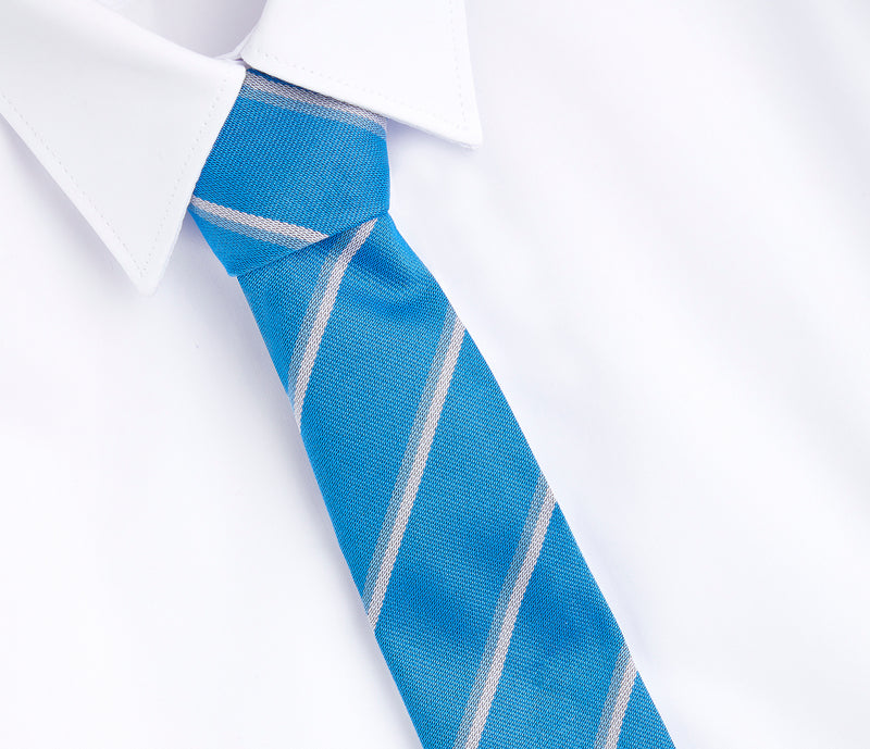 Long Field Spencer Academy Tie - Blue/Silver (Pegasus House)