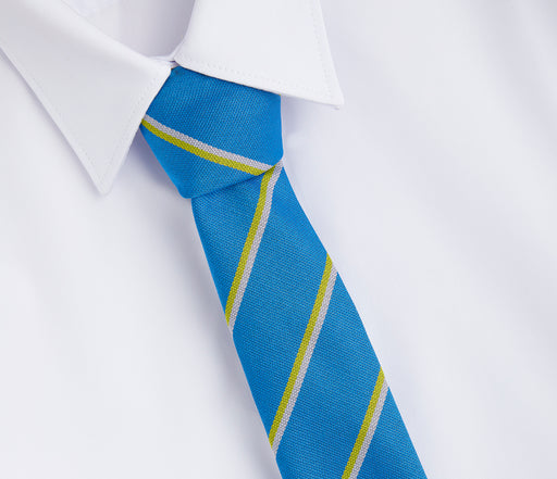 Long Field Spencer Academy Tie in blue and yellow, polyester material, designed for Leo House, featuring a classic necktie style.