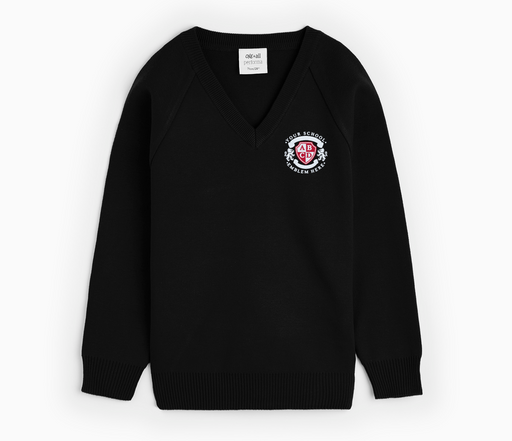 V-Neck Pullover - Black featuring a logo, classic raglan sleeves, and soft texture, made from a cotton-acrylic blend.