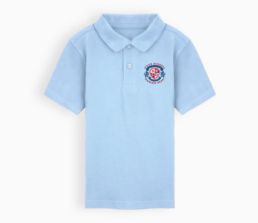 Witherslack Polo Shirt - Sky Blue featuring a logo, flat knit ribbed collar, hemmed sleeves, and self-colored buttons, shown in close-up detail.