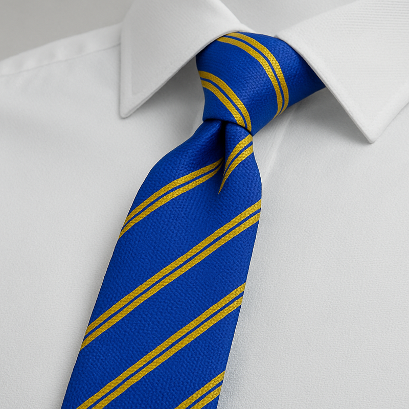 Thurleigh Primary School Tie, neatly folded, showcasing its classic design and suitable length, ideal for students' uniforms.