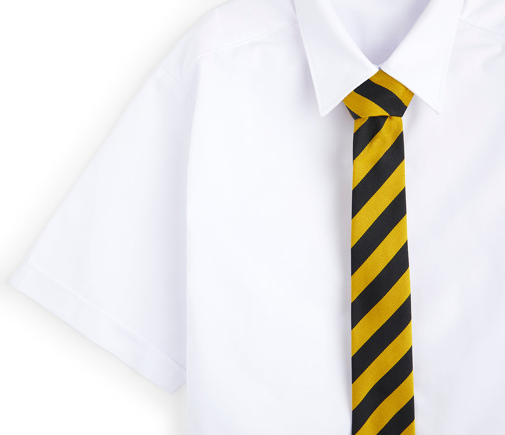 Whyteleafe Primary School Standard Tie for Years 1-6 displayed with a white shirt, highlighting the tie's design suitable for school uniform.