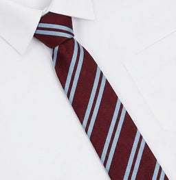 Ballynahinch Primary School Standard Tie