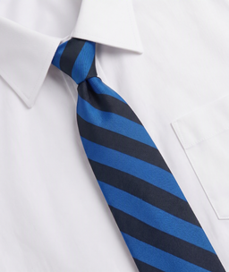 Deanburn Primary School Tie