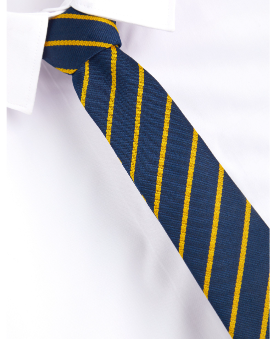 Penarth Group School Tie featuring a neatly knotted design with diagonal stripes, complementing a white dress shirt.
