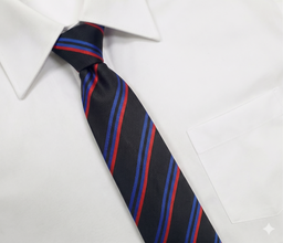 Lincluden School Tie
