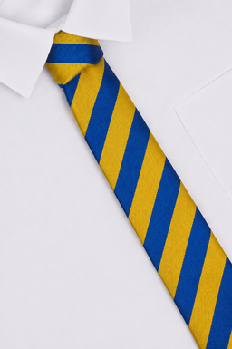 St John Fisher Catholic Primary School Tie