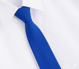 Saint Winefrides Catholic Voluntary Academy Elastic Tie